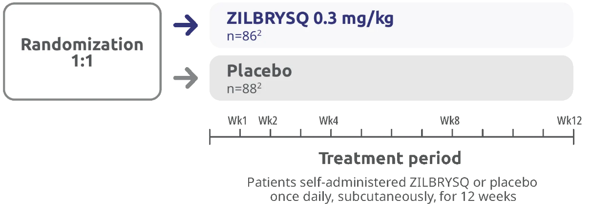 Chart representing RAISE study design