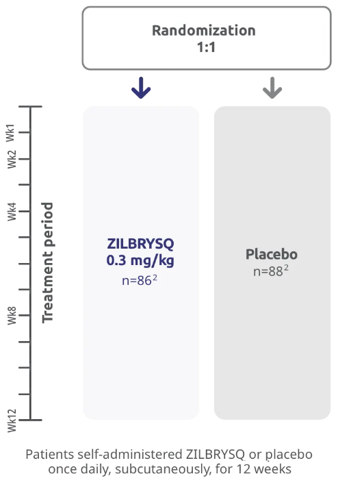 Chart representing RAISE study design