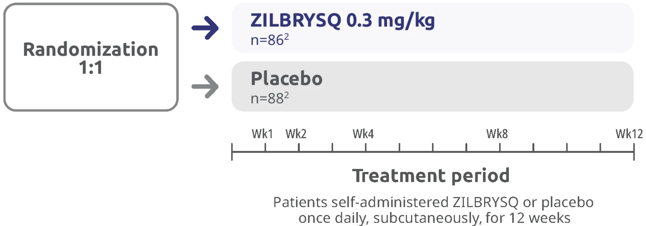 Chart representing RAISE study design