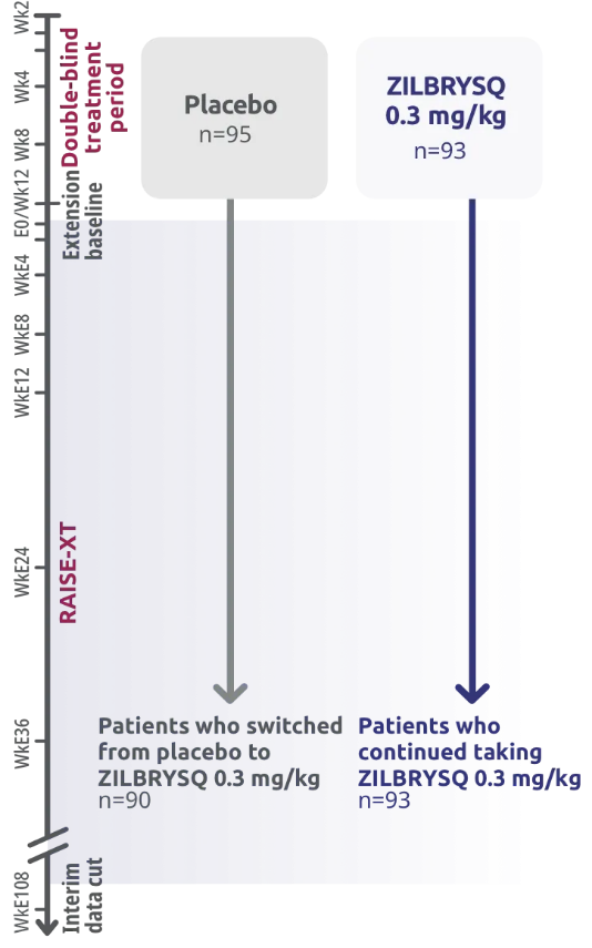 Chart representing RAISE-XT: extension study